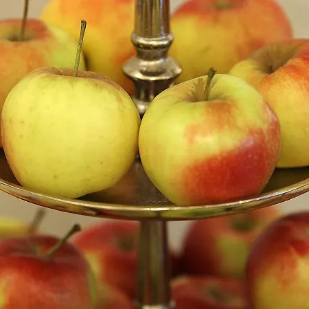 Hotel Brenner Coblença