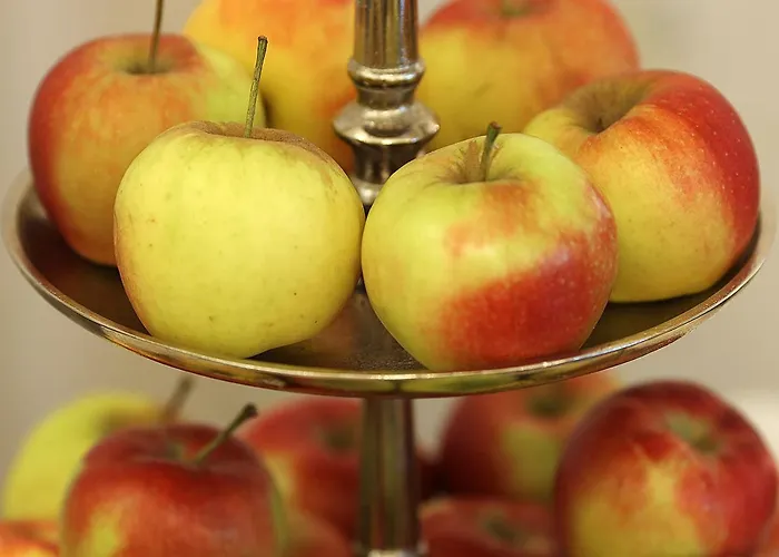 酒店 布瑞纳酒店 科布倫茨